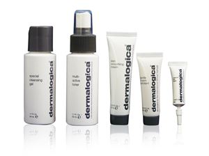 Picture of Dermalogica Skin Kit Normal / Dry